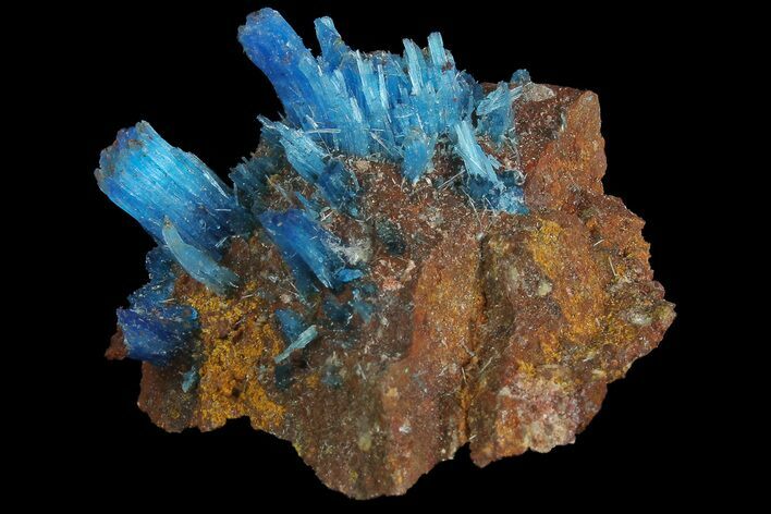 Vibrant Blue Chalcanthite - Planet Mine, Arizona #176416